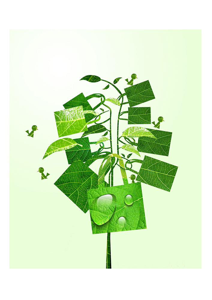 一花一世界，一個環(huán)保袋一抹綠