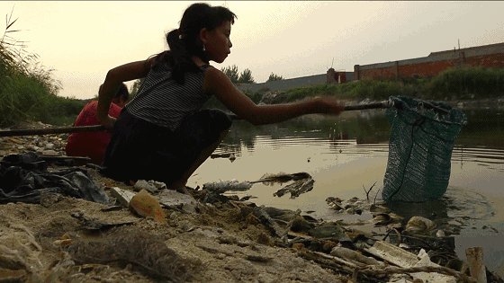 河邊抓魚(yú)的小孩