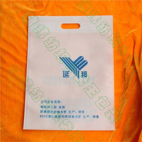 常規(guī)尺寸環(huán)保袋平口袋 常規(guī)尺寸環(huán)保袋平口袋