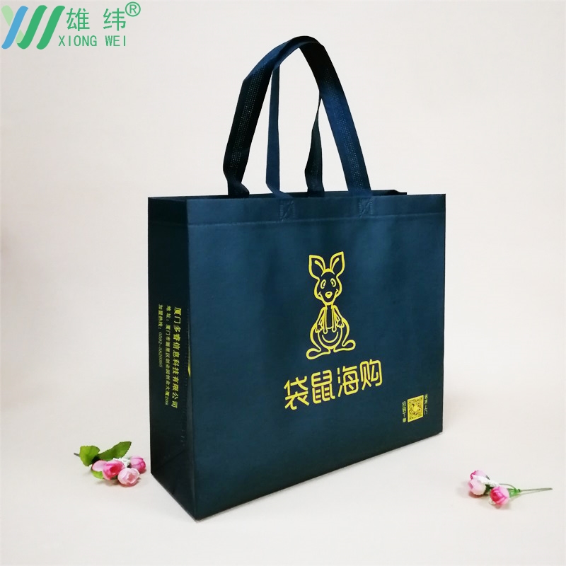 無(wú)紡布環(huán)保袋2