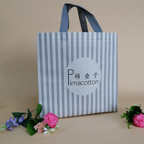 無(wú)紡布袋1.jpg