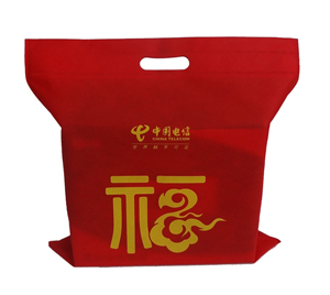 雄緯經(jīng)典案例---中國電信包裝袋